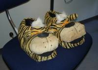 Boandens udsøgte bjørne-fodbeklædning